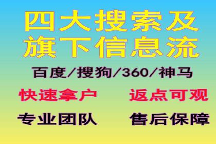 行业专家解析SEM代运营成功案例